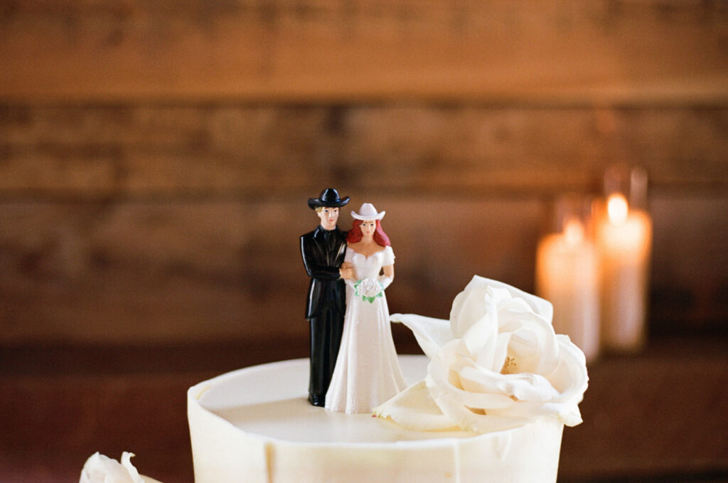Custom bride and groom cake topper